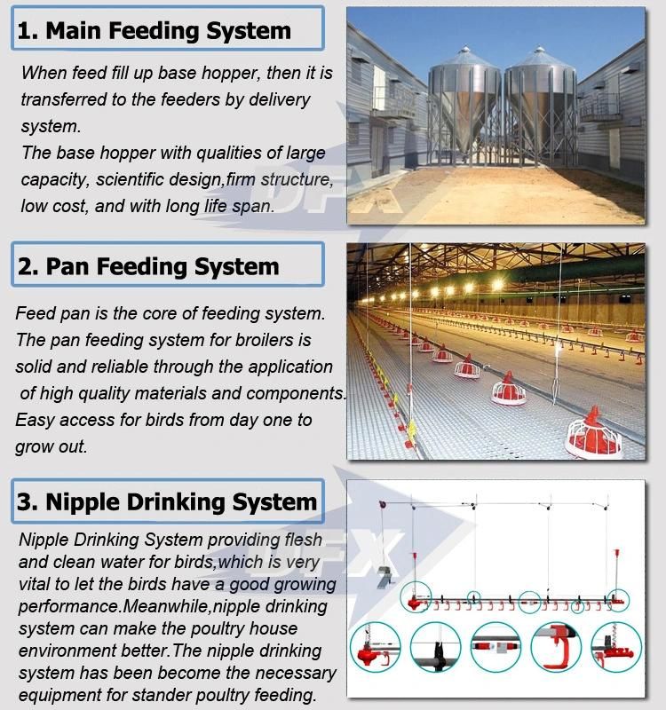 High Tech Quickly Install Easy Feeding Stainless Chicken Poultry House