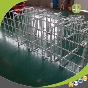 High Quality Individual Stall for Pigs Gestation Stall