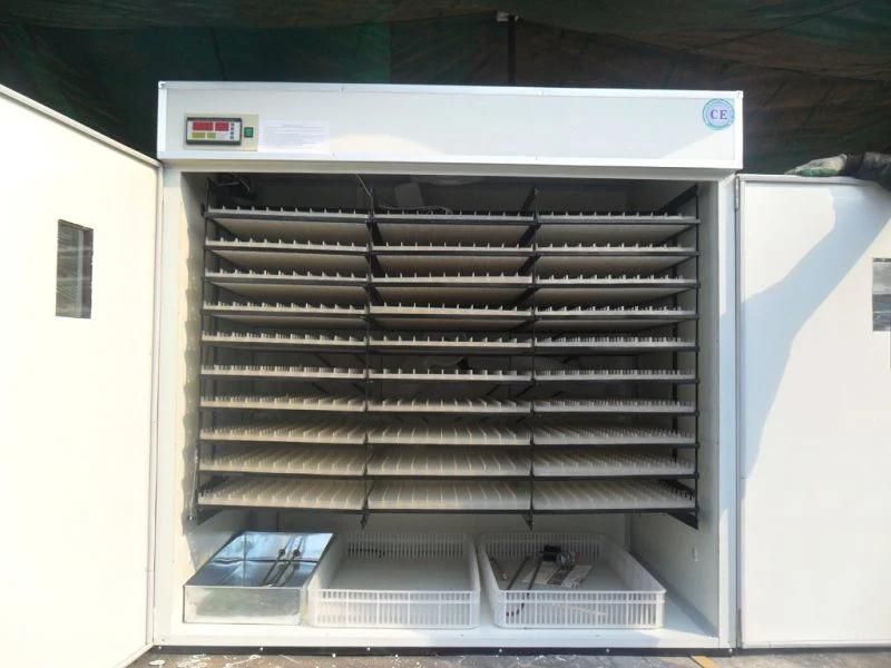 CE Approved Solar Automatic Chicken Egg Incubator for 5000 Eggs