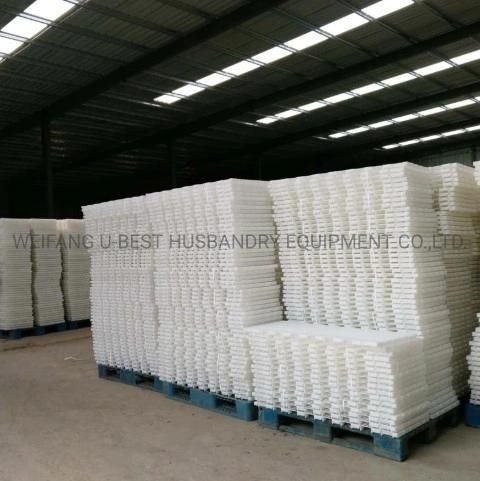 Pure Material PP Plastic Poultry Floor for Chicken