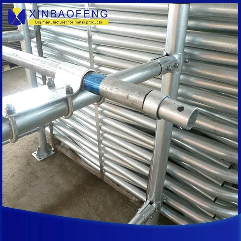 New Design Factory Price High Quality Hot Galvanized Standard Dairy Cow Free Stall for Sale