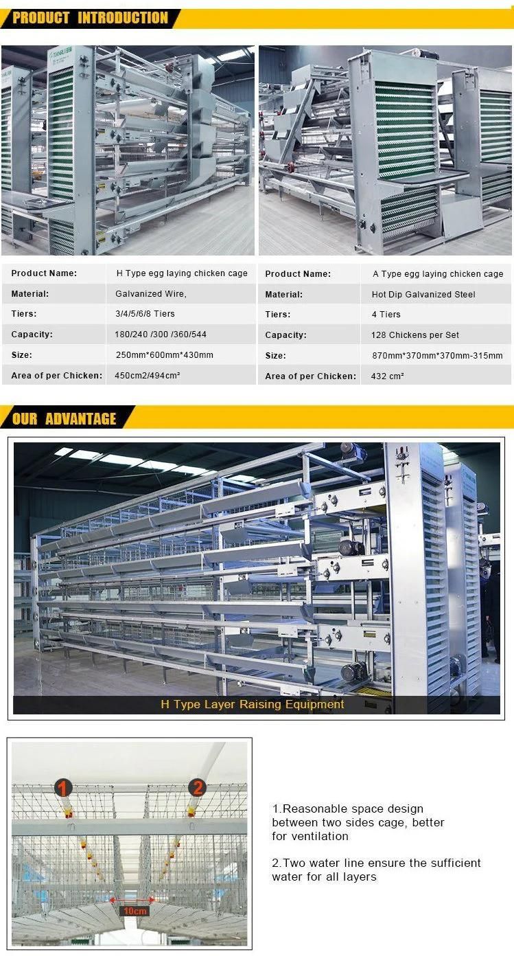 Galvanized Automatic Poultry Farm Equipment Chicken Battery Cage for 10000 Capacity