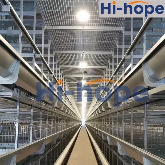 Chicken House Pullet Cage Equipment Adult Egg Layer Cage Equipment with Complete Equipment