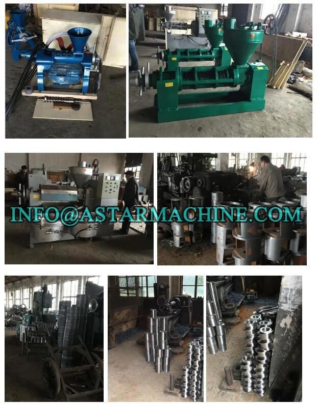 Tallow Tree Seeds Oil Expeller Oil Processing Machine