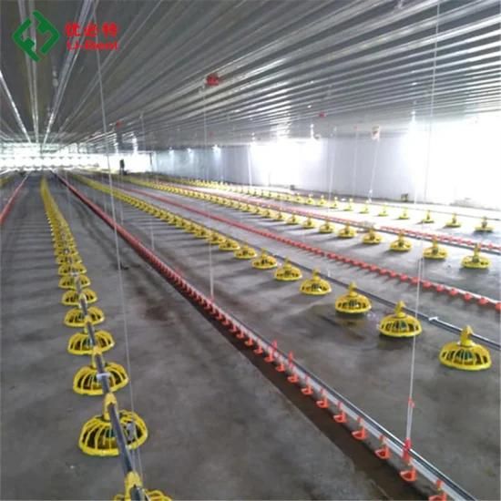 Automatic Chicken Facco Equipment for Poulty Farm Broiler House Breeder Shed