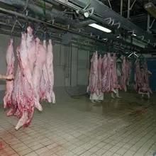 Goat Meat Slaughter House with Halal Abattoir Machine