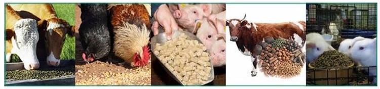 600-800kg/H Farm Use Rice Husk Animal Feeding Equipment