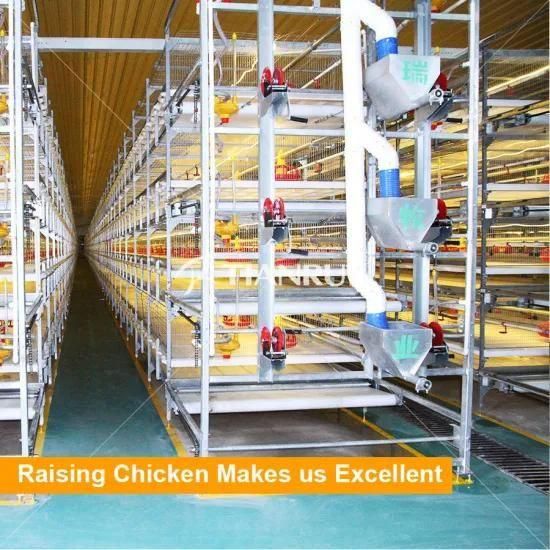 Automatic 3 Tiers 330 Birds Broiler Chicken Cage Poultry Equipment