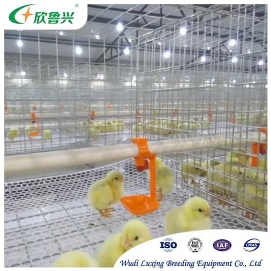 Large Scale Metal Pre-Engineered Efficiency Turkey Poultry Farm Layer Cage