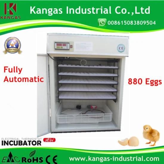 Automatic Chicken Egg Incubator Industrial Solar Incubators for Sale