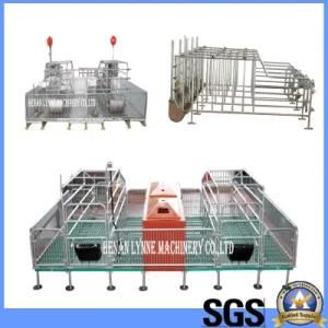 Poultry Farm Pig Farming Sow Hog Galvanized Farrowing Crate From China Factory