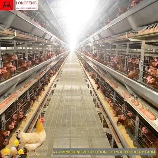 Computerized Nipple Drinking Line ISO9001: 2008 Automatic Poultry Chicken Cages 3-12tires