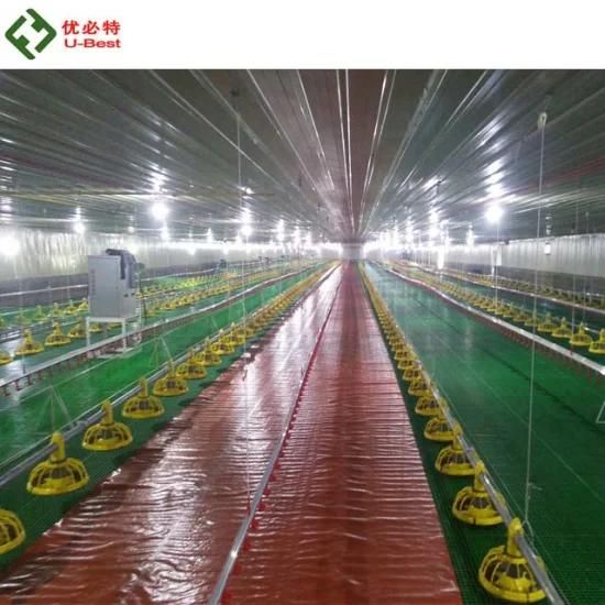 Automatic Modern Poultry Farm Chicken Shed Equipment of Germany