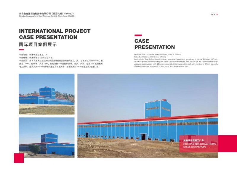 Pre-Engineered Steel Structure Construction Industry Building