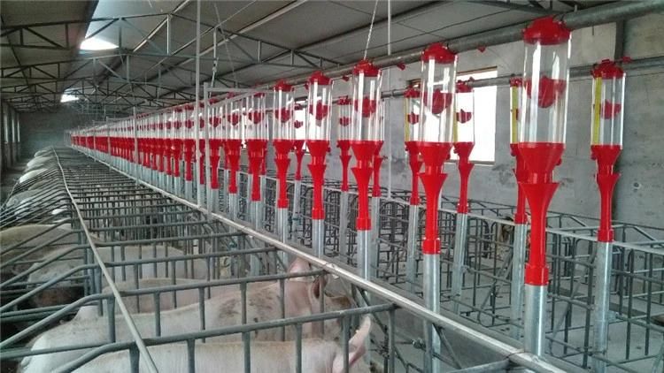 Factory Price High Efficiency Pig Farm Automatic Feeding Equipment