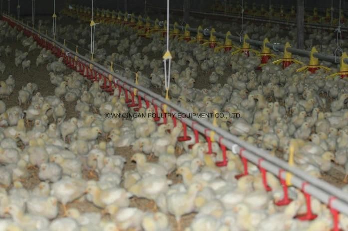 Qzh Cage Breeding Watering Line System for Layer/Broiler