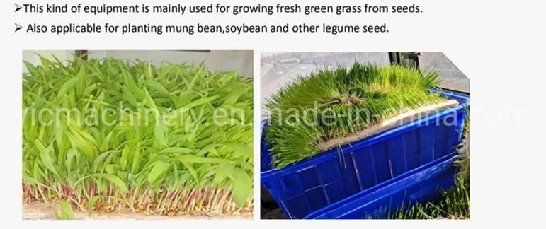 Fodder pasture Grass Garlic Hydroponic Machine