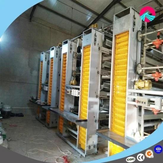 Chicken Poultry Feeding Cage Equipment