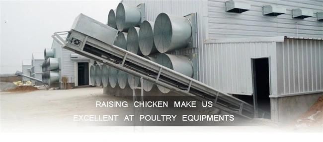 Layer Poultry Equipment Manure Scraper Chicken Manure Removal Machine