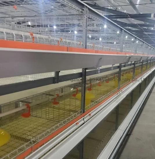 Types of Battery Cage System for Broiler/Chicken Layer/Egg Chicken