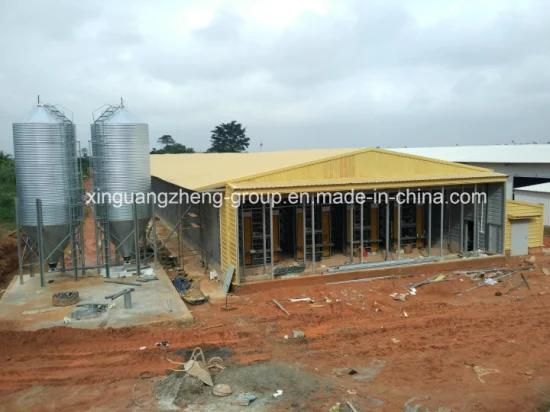 Semi-Closed Steel Structure Chicken House for Layer (egg chicken)