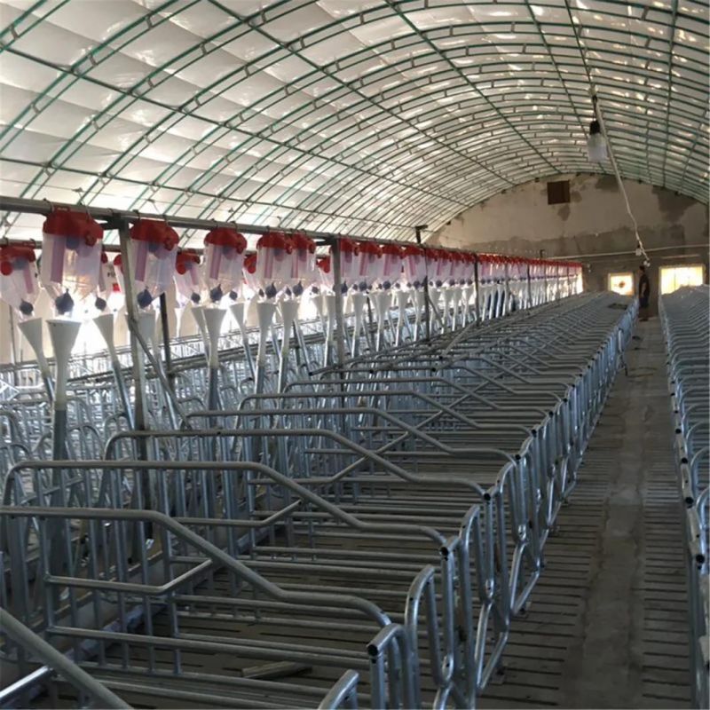 Xgz Group′s Automated Pig Raising Equipment