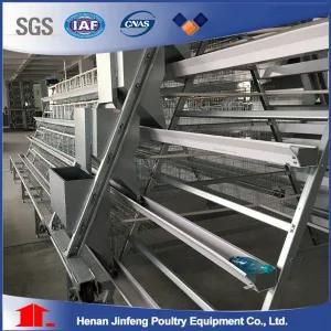 a Type Chicken Poultry Broiler Cage Equipment