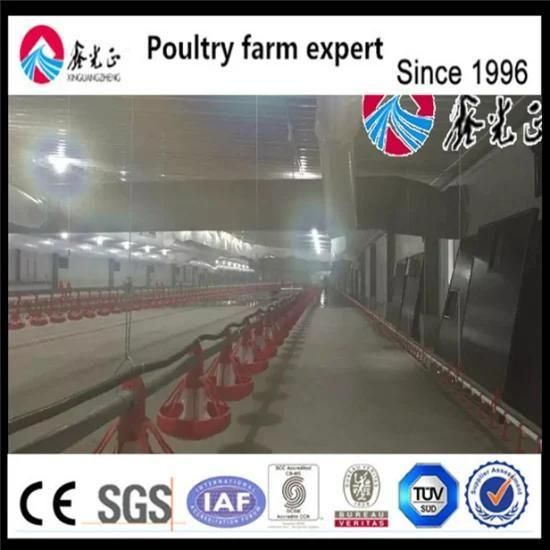 Automatic Chicken Farm Equipment for Broiler