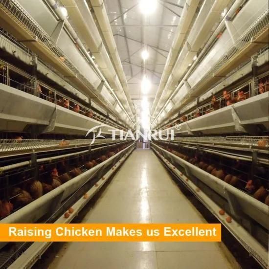Automatic Laying Chicken Cage of Poultry Equipment