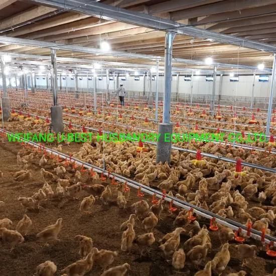 Fast Build Steel Structure Poultry House for Bird Chicken