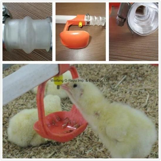 Automatic Double Seal Nipple Drinking System for Layer Chicken