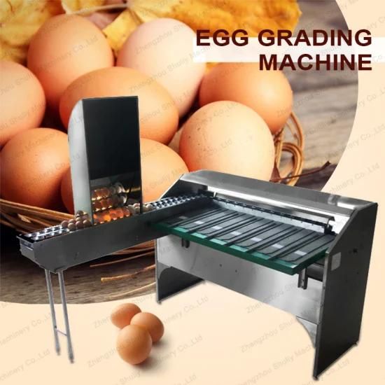 Hot Sale 5400 PCS 304 Stainless Steel Egg Grader / Egg Sorter / Egg Grading Machine
