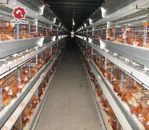 Poultry Equipment High Capacity Battery Chicken Farm Cage