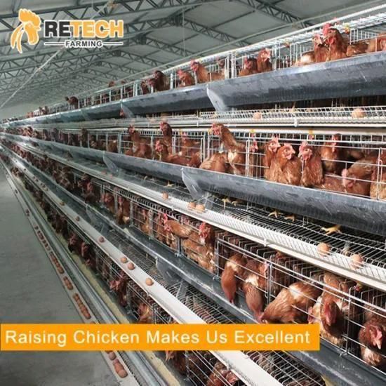 Modern Automatic Poulty Chicken Cage for 10000 Chicks