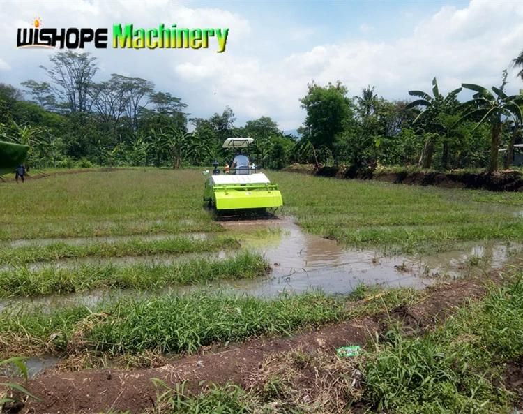 Wubota Machinery Paddy Water Field Use Crawler Rubber Track Cultivator for Sale in Myanmar