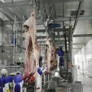 Halal Cattle Slaughtering Line Equipment Machine for Slaughterhouse Abattoir Project