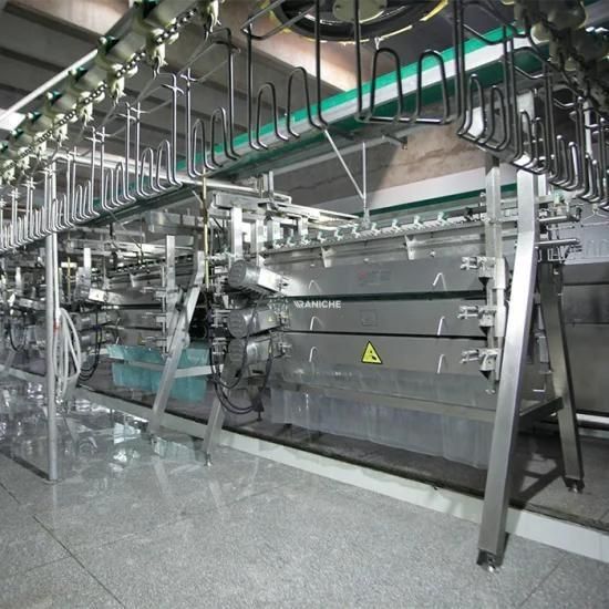 300-1000bph Poultry Processing Machinery Chicken Abattoir Slaughtering Processing ...
