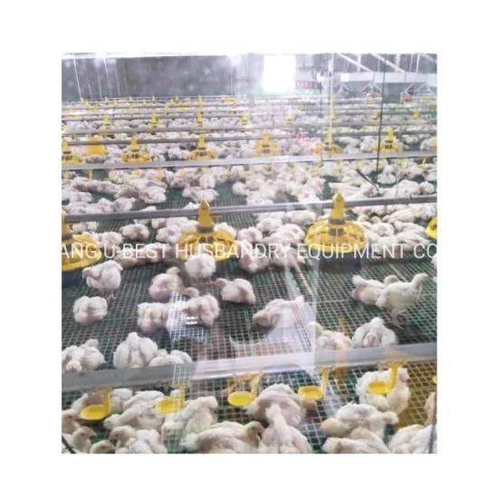 Factory Price Closed Poultry House Chicken Pan Feeding Poultry Farm Equipment
