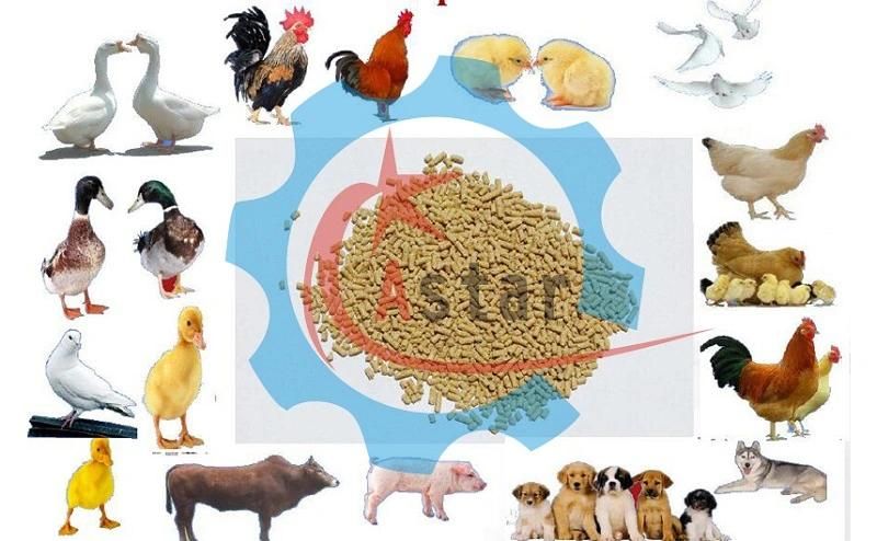 Aquarium Chicken Pig Poultry Cattle Livestock Sheep Birds Fish Animal Feed Machine for Sale