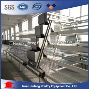Automatic Chicken Cages for Layer Farm Battery Cage