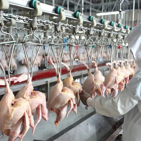 China Manufacturers Poultry Abattoir Processing Slaughter House Equipment for Chicken ...