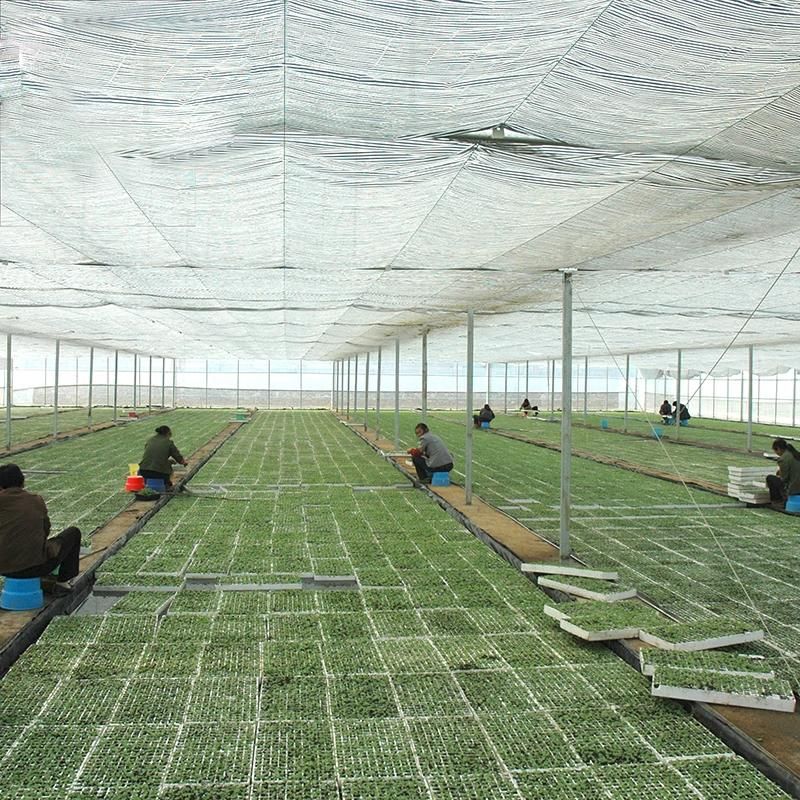 Drip Irrigation System for Horticultural Glass Greenhouse