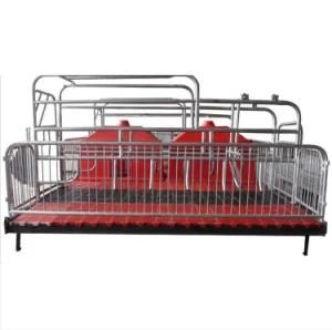 Hot Galvanized Farrowing Crates for Pregnant Pig Manufacturer