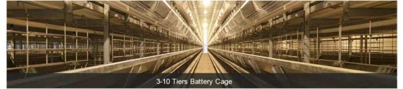 Complete automatic layer raising chicken cage system