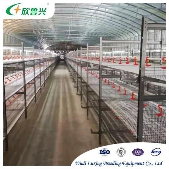 Hot DIP Steel H Type Chicken Cage Equipment for Poultry Broiler Farming