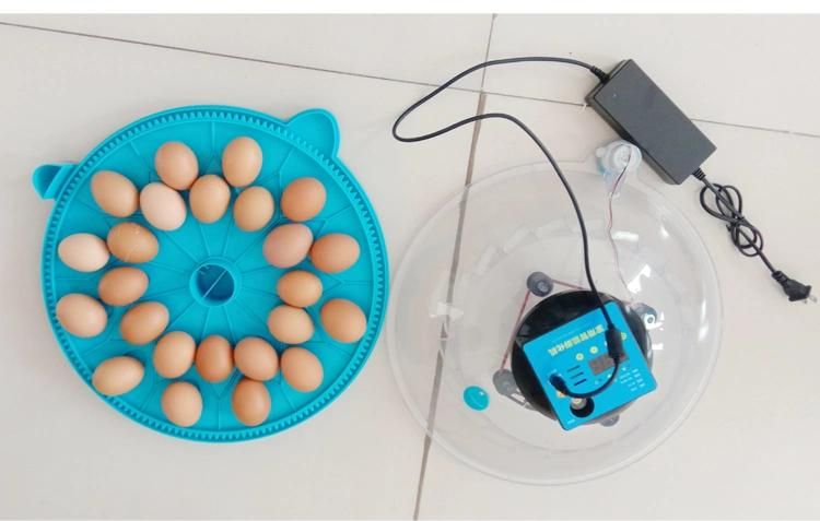 Multifunctional Small 96 Eggs Incubator Hatcher Machine Intelligent Incubator
