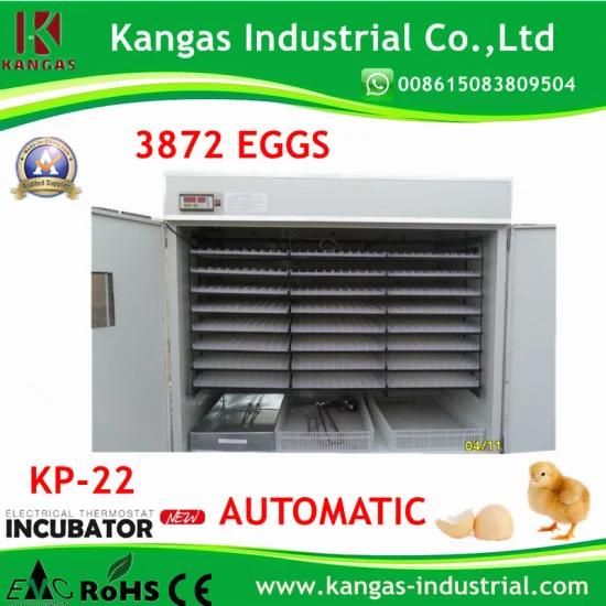 3872 Eggs Competitive Price Easy Operation Egg Incubator for Sale