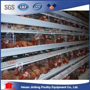 (9LDC-42250-22) Poultry Equipment Frame Chicken Cage for Henhouse