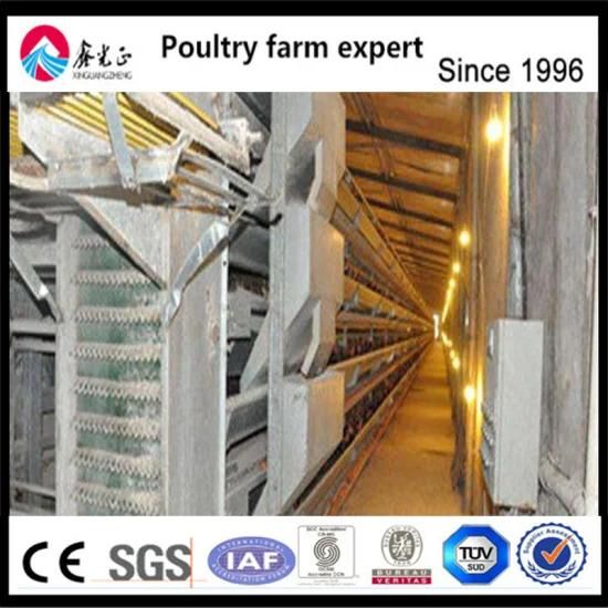 Broiler Breeder Layer Quial Breeding Poultry Farming Equipment