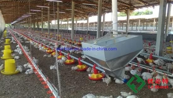 Ec Chicken Shed Automatic Poultry Farm in India with Climate Controller
